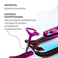 Снегокат Тимка спорт 2+ Slalom ТС2+/SL