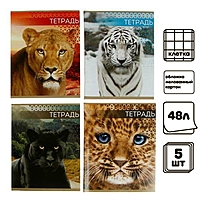 Компл тетр из 4 шт, 48л кл Дикие кошки, обл мел бум, блок №2 (7142169)