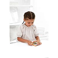 Магнитная головоломка по системе раннего развития Никитина «Индюк»