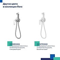 Смеситель для биде Milardo Rora RORBLR0M08, с гигиеническим душем, встраиваемый, черный