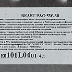 Масло моторное THE BEAST PAO 5W-30 4 л синт.