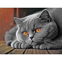 Алмазная мозаика "Британец" 30х40, на подрамнике Ah5727