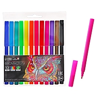 Фломастеры 12 цветов в блистере TOP Calligrata