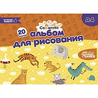 Альбом д/рис А4 20л греб Calligrata, обл мел карт, бл офс 100г/м2