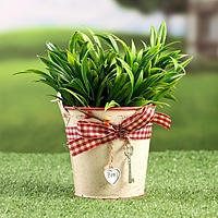 Кашпо "Ведерко Рустад" бежевое, 10х10х9см