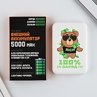 Зарядное устройство "100% заряд", 5000мА, мод. PB-02, 9,6 х 6,4 см