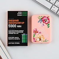 Зарядное устройство "Цветы", 5000мА, мод. PB-03, 9,6 х 6,4 см
