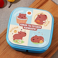 Ланч-бокс "Капибара", 14,5 х 6 см