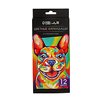 Карандаши 12 цветов в картонной коробке, грифель d -3мм, 5B, TOP Calligrata