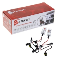 Комплект ксеноновых ламп TORSO H10, для блоков AC, 12 В, 5000 К, 2 шт.
