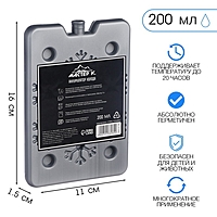 Аккумулятор холода "Мастер К. Снежинки", 200 мл, 16 х 11 х 1,5 см, серебро