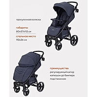 Коляска прогулочная Rant Basic Alpine, цвет graphite