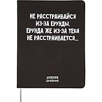 Дневник универсальный для 1-11 класса "Не расстраивайся из-за ерунды", интегральная обложка, искусственная кожа, шелкография, ляссе, 80 г/м2