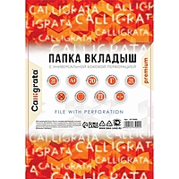 Папка-вкладыш с перфорацией Calligrata, А4, 70мкм, глянцевая, 50шт