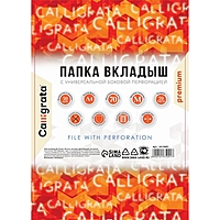 Папка-вкладыш с перфорацией Calligrata, А4, 70мкм, матовая, 50шт