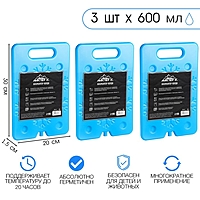 Аккумулятор холода "Мастер К", 600 мл, 20 х 30 см, набор 3 шт