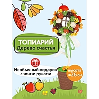 Набор для творчества топиарий «Яблоневый сад», 26 см, 10+