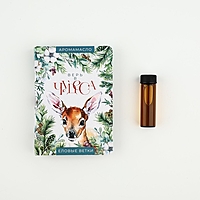 Аромамасло на открытке «Верь в чудеса», аромат еловые ветки,  5 мл