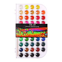 Краски акварельные 48 цветов, круглые, диаметр кюветы 23 мм, с кистью, пластиковый пенал, CALLIGRATA TOP