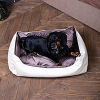 Лежак Ginger, 85х57х22 см, мебельная ткань, размер M, микс цветов