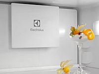 Встраиваемый холодильник Electrolux ENT6ME19S