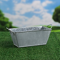 Кашпо "Бонсай Альма" 20х10х10см