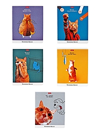 Тетрадь 48л кл на скобе "Приключения Василия", скругл углы, обл мел бум, 45 МИКС