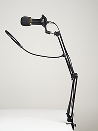 Микрофон конденсаторный Music Life золотой: кабель, ветрозащита, стойка