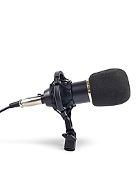 Микрофон конденсаторный Music Life золотой: кабель, ветрозащита, стойка