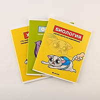 Набор тетрадей А5, 48 л "Персонажи" биология, физика, химия