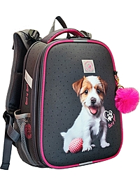 Рюкзак каркасный, школьный, 38×30×16 см, эргономичная спинка «Щенок»