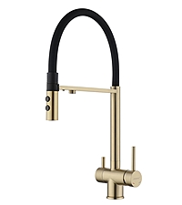 Смеситель для кухни Fmark FS1262-C01 черный/золото