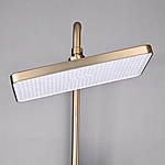 Душевая система Shevanik S6136G с изливом золотой сатин