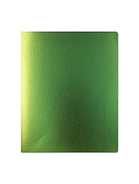 Тетрадь 48л кл Травяной, металлизир бумвинил