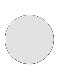 Зеркало интерьерное настенное в круглом корпусе из металла  d=50,5см, белый