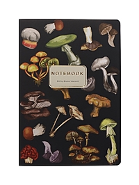 Тетрадь 40л кл BrunoVisconti. FLORA.Грибная феерия