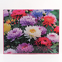 Алмазная вышивка полное заполнение "Астры", на раме, 40*50 см