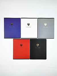 Тетради в клетку, 48 л., набор из 5 шт., блок №1 «Россия»