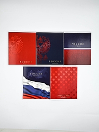 Тетради в клетку, 48 л., набор из 5 шт., блок №1 «Патриотизм» матовая ламинация, тиснение