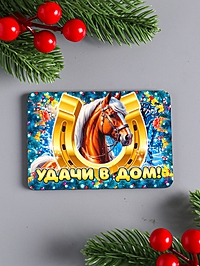 Магнит новогодний "Удачи в дом" 9,5х6,5 см