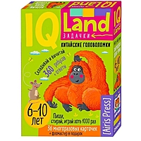 IQ Многоразовые карточки с маркером «Китайские головоломки. Счёт в пределах», 6+