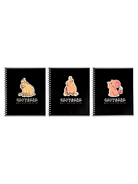 Компл тетр из 3шт 80л кл на гребне Capy, обл мел карт, офсет (7424104)