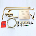 Душевая система Prohanss P30.24.03 сатин золотой