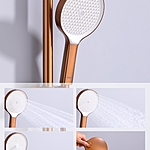 Душевая система Raglo R07.24.33 матовая медь