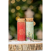 Новогодние свечи в колбе, набор 2 шт., аромат мята и ваниль, 3×3×8 см