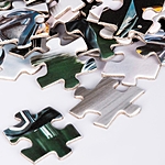 Пазл Мотоциклы 80 элементов RI8009C