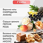 Аромадиффузор Caromi Guava Гуава 100 мл