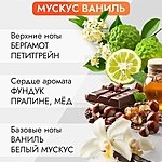 Аромадиффузор Caromi Musk Vanilla Мускус и ваниль 100 мл