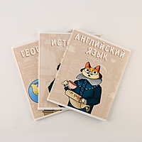 Набор тетрадей А5, 48 л "КОТ" английский, история, география