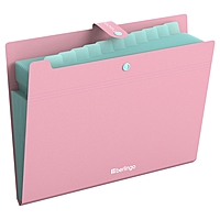 Папка А4, 12 отделений, Haze, 600 мкм, на кнопке, розовая